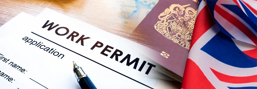 How to Secure a UK Work Permit IT Professionals